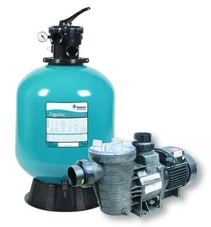  tagelus swimflo pump combo
